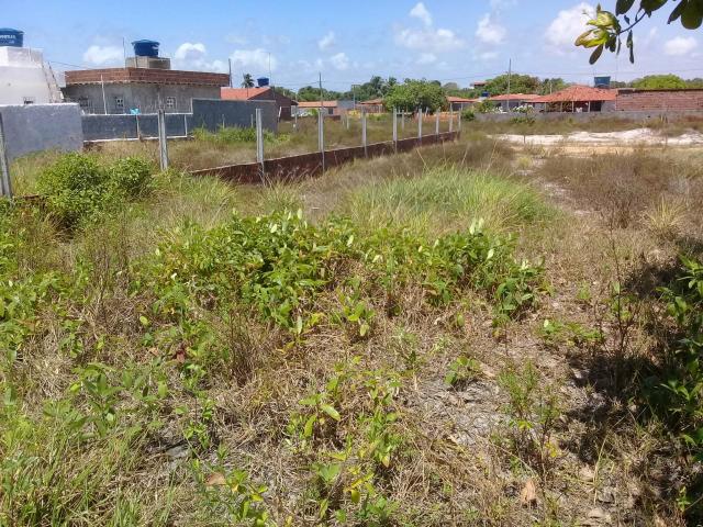 Terreno - Foto 4
