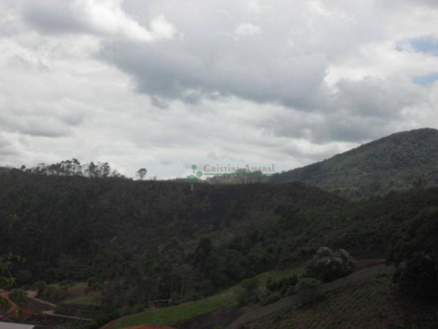 Terreno à venda, 2241 m² por R$ 80.000,00 - Vieira - Teresópolis/RJ - Foto 14