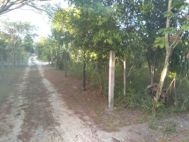 Terreno no Distrito de Curralinho, próximo a Sauípe - Foto 3