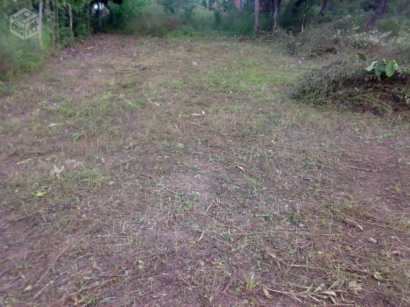 Vendo Lote de Terreno na praia do forte