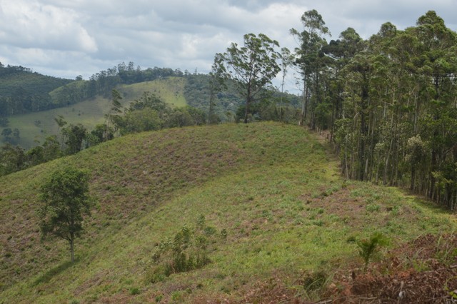 Oportunidade de você obter um terreno direto com o proprietário