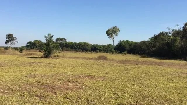 Fazenda à venda, 11228800 m² por RS 15.000.000,00 - Zona Rural - Duerê-TO - Foto 4