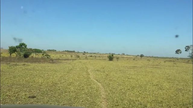 Fazenda à venda, 11228800 m² por RS 15.000.000,00 - Zona Rural - Duerê-TO
