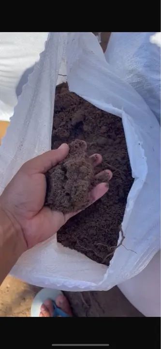 Terra Vegetal Ensacada 50kg