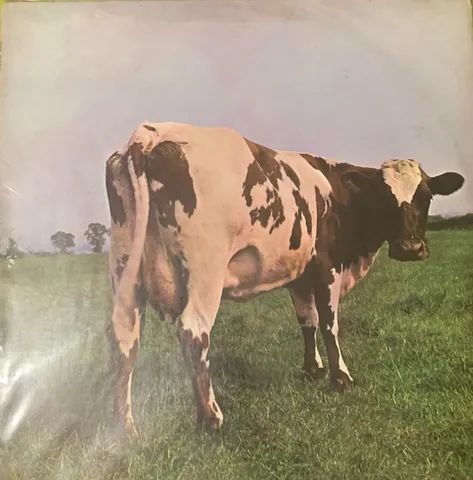 Pink Floyd Atom Hearth Mother - Foto 2