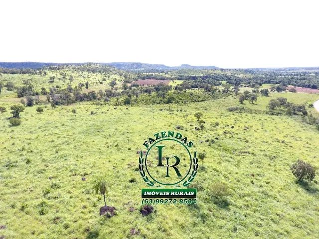 Fazenda 23 Alqueires Beira Asfalto - Foto 3