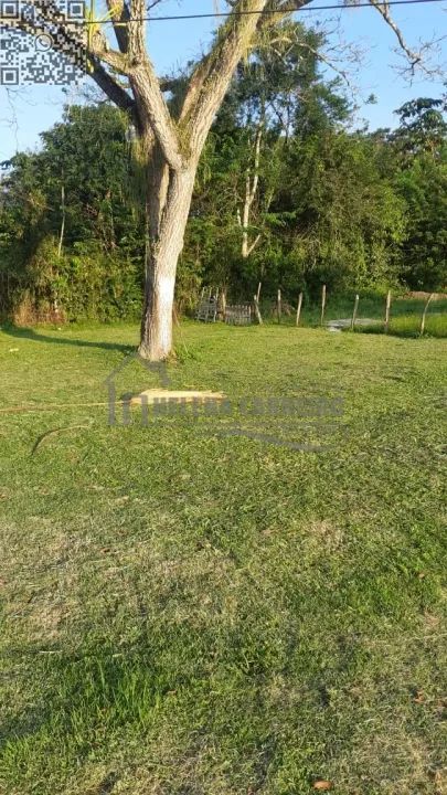 Paudalho  Sítio  Sítio em Paudalho, porteira fechada, 5 hectares - Foto 8