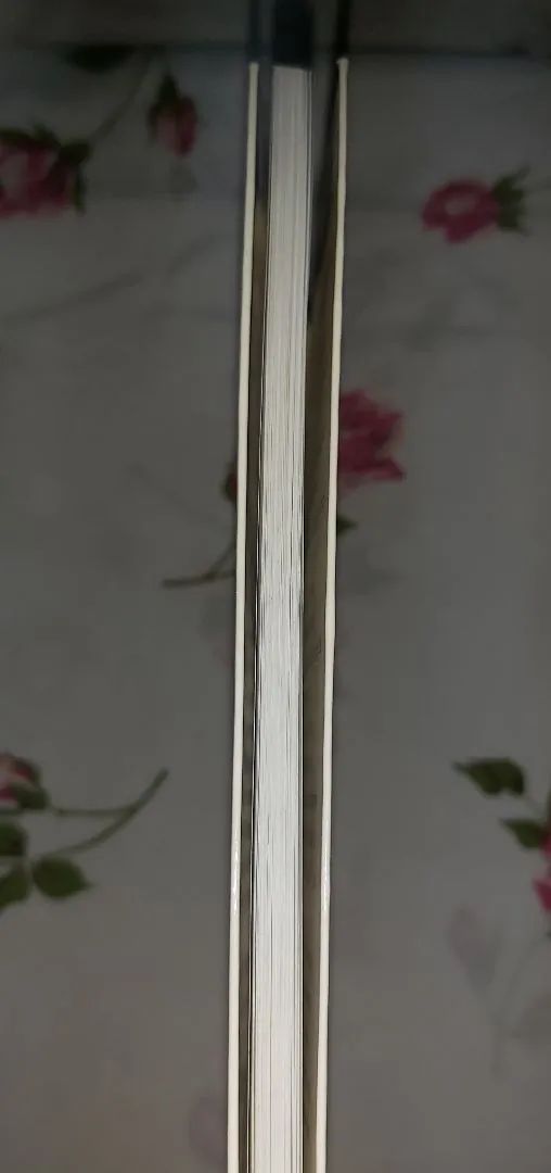 Livro Calçada de Verão - Flora Figueiredo - Foto 2