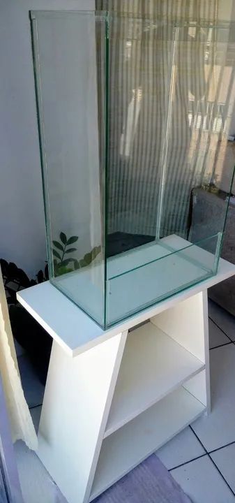 Terrario de Vidro para suculentas