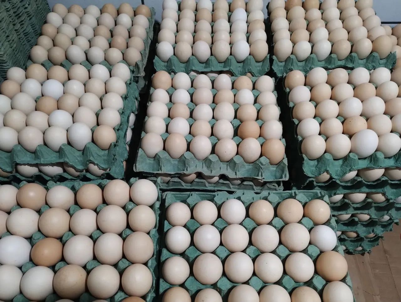 Ovos frescos de galinhas caipiras - Foto 2