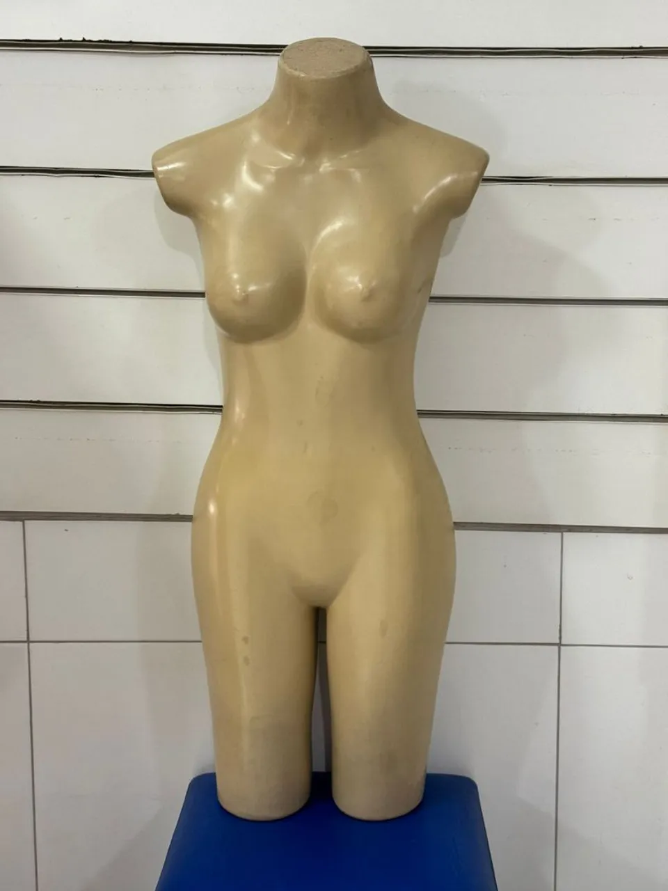 Manequim - Ideal para Exposção apenas R$ 30 cada