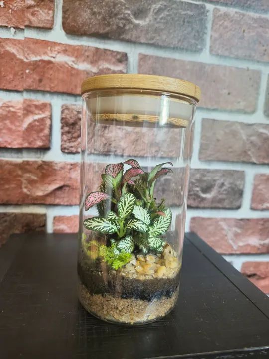 Jardim de Vidro - Miniatura Criativa - Foto 3