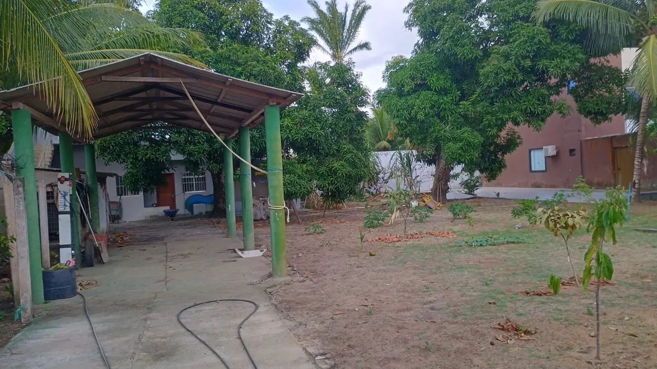 Chácara em Nova Viçosa-BA - Foto 3