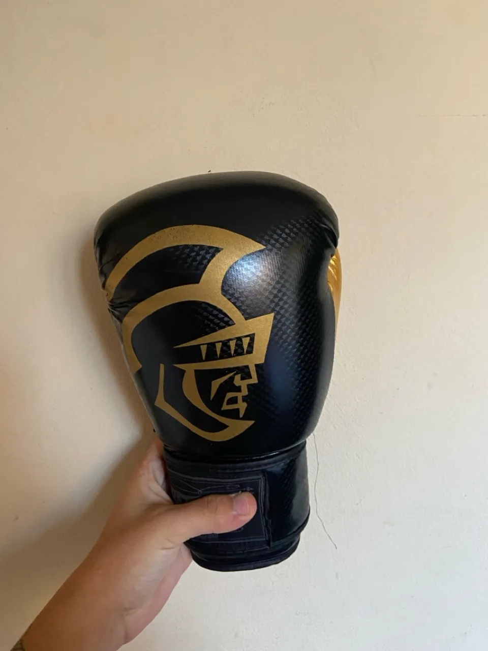 Luva de Boxe -  Treinamento