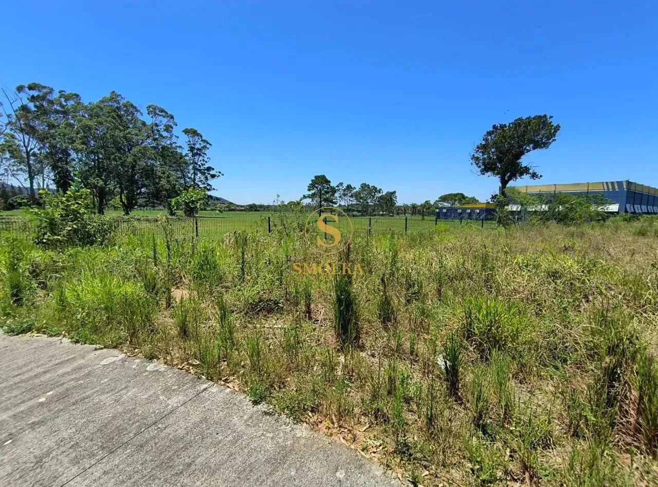 EXCELENTE TERRENO A VENDA EM CANASVIEIRAS SC401 - FLORIANOPOLIS// - Foto 2