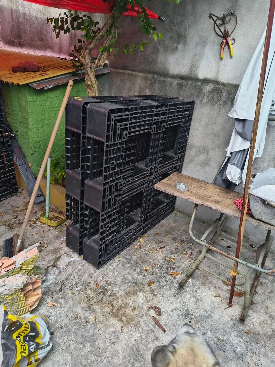 Palet64728596582019121