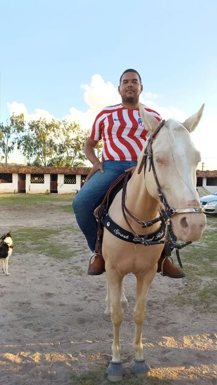 Quarto de Milha Esteira. - Foto 4