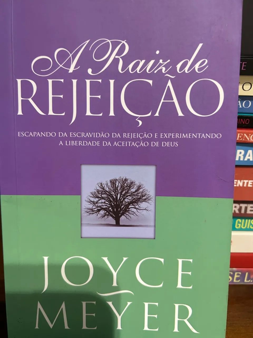 A Raiz da Rejeição - Joyce Meyer