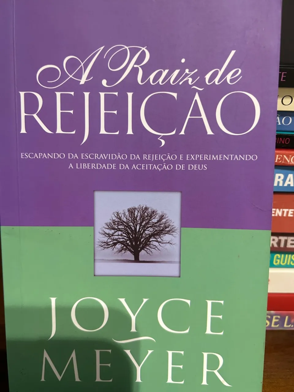 A Raiz da Rejeição - Joyce Meyer