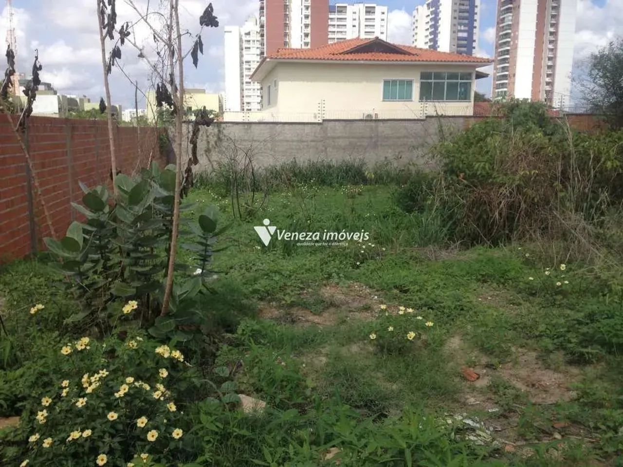 Terreno Bairro Horto para aluguel - Foto 2
