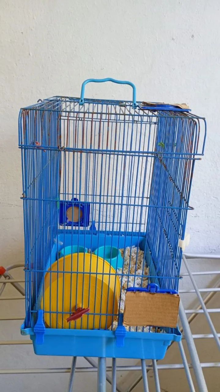 Gaiola de hamster64861039148034120