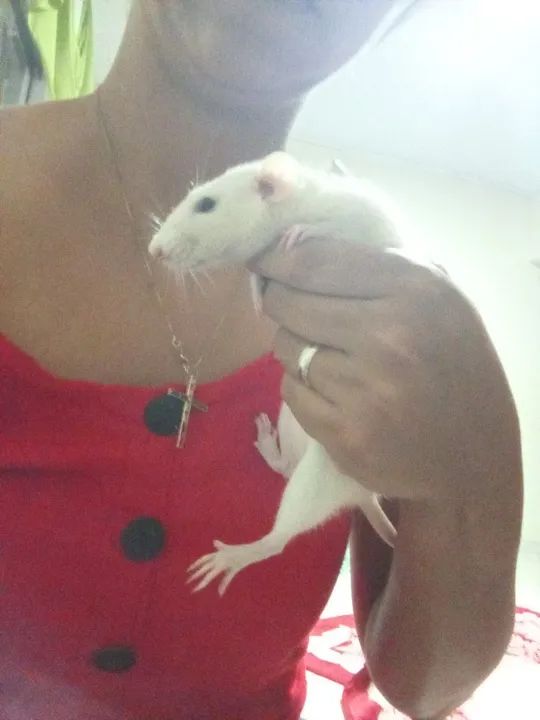 Venda ou troca  - Foto 2