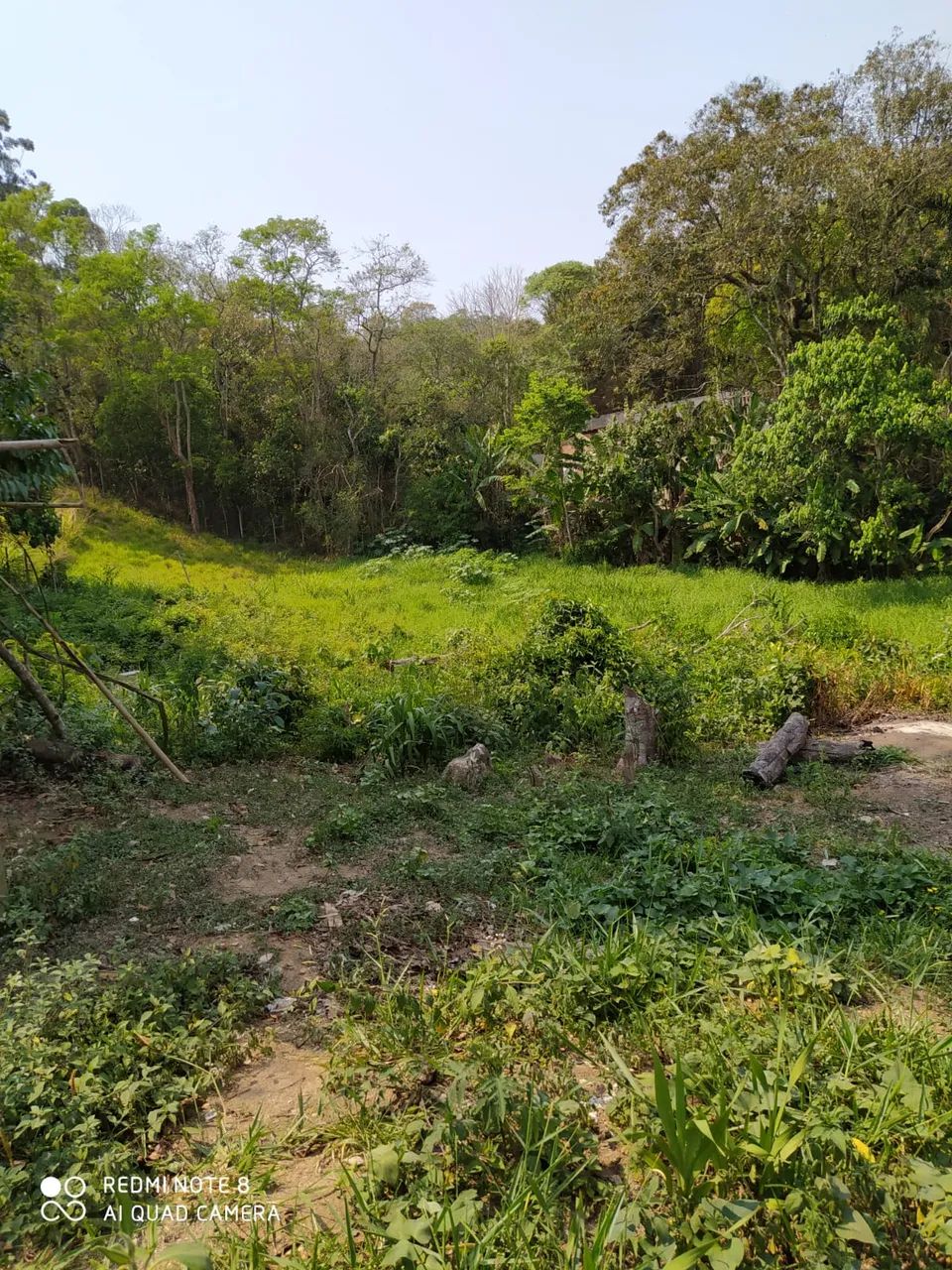 Lote/Terreno para venda tem 1410 metros quadrados em Jardim Nova Coimbra - Cotia - SP