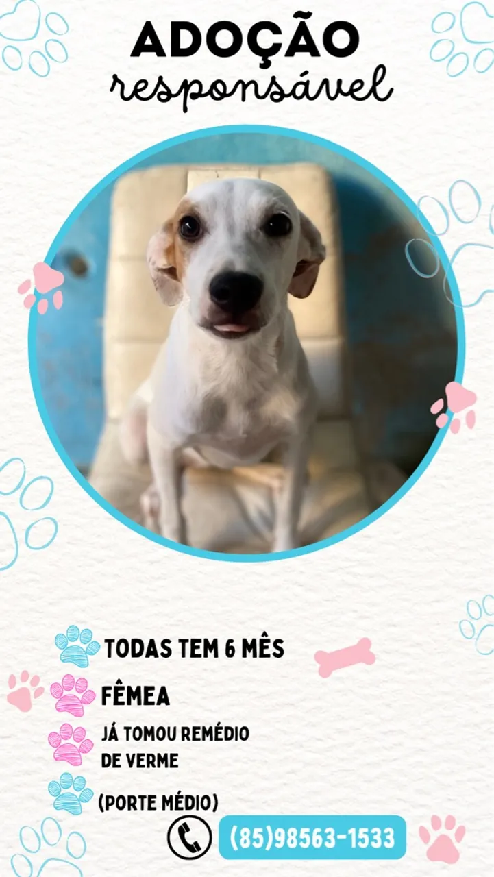 Doação 