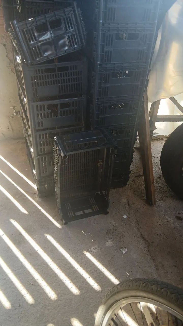 Caixa plástica  - Foto 2