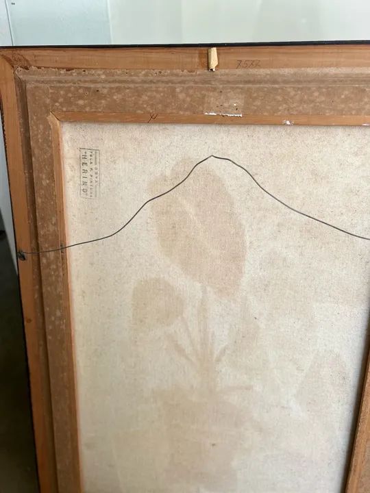 Quadro de Arte Natureza Plantas - Foto 5