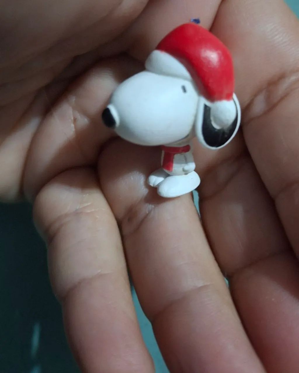 Snoopy Gogo Cacau Show 