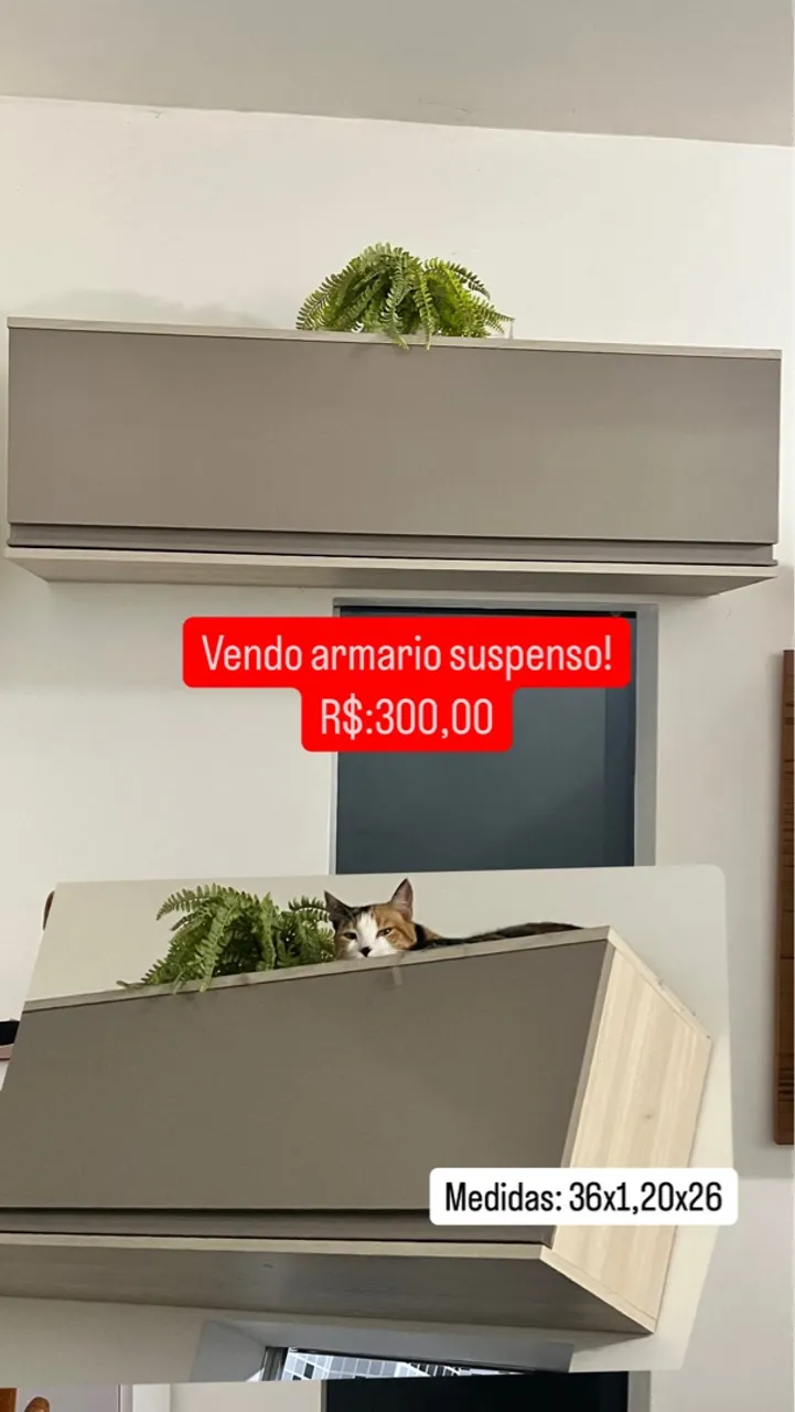 Armário suspenso com design moderno e charme felino