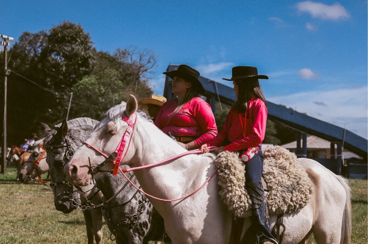 Venda de cavalo