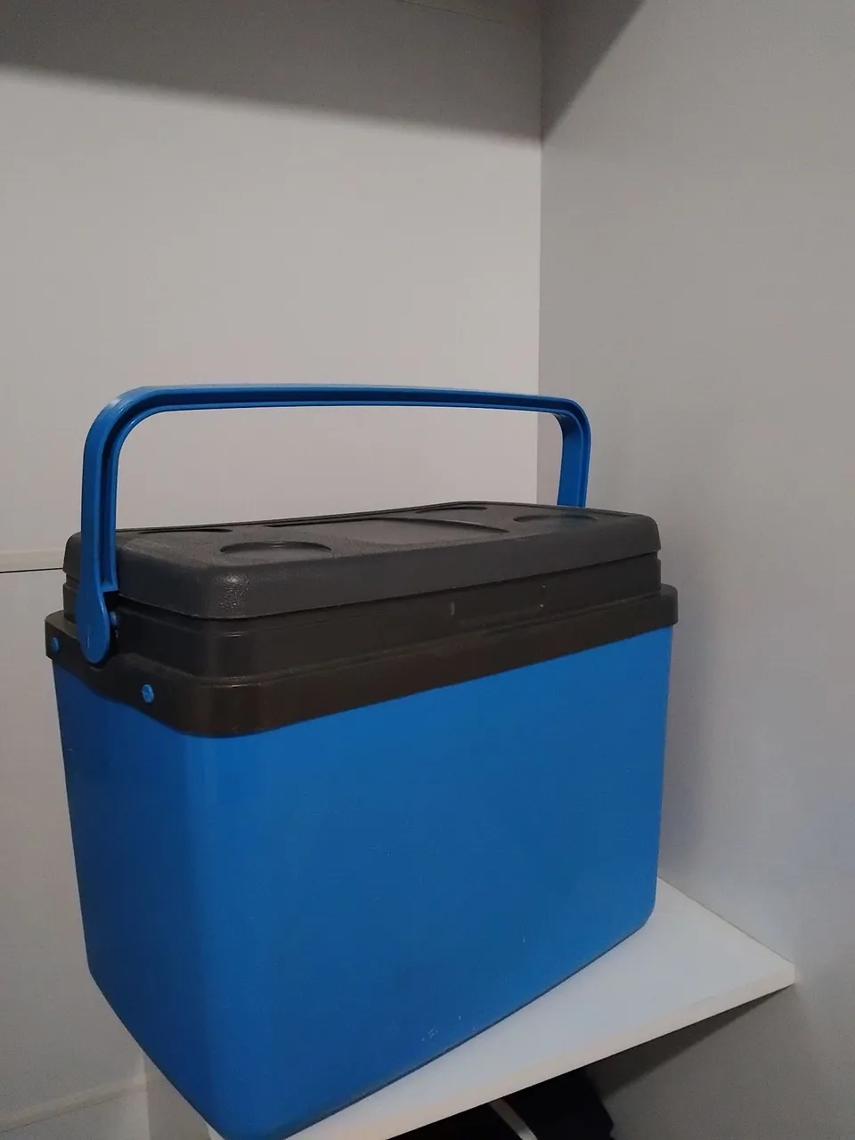 Caixa Térmica Azul 35 l
