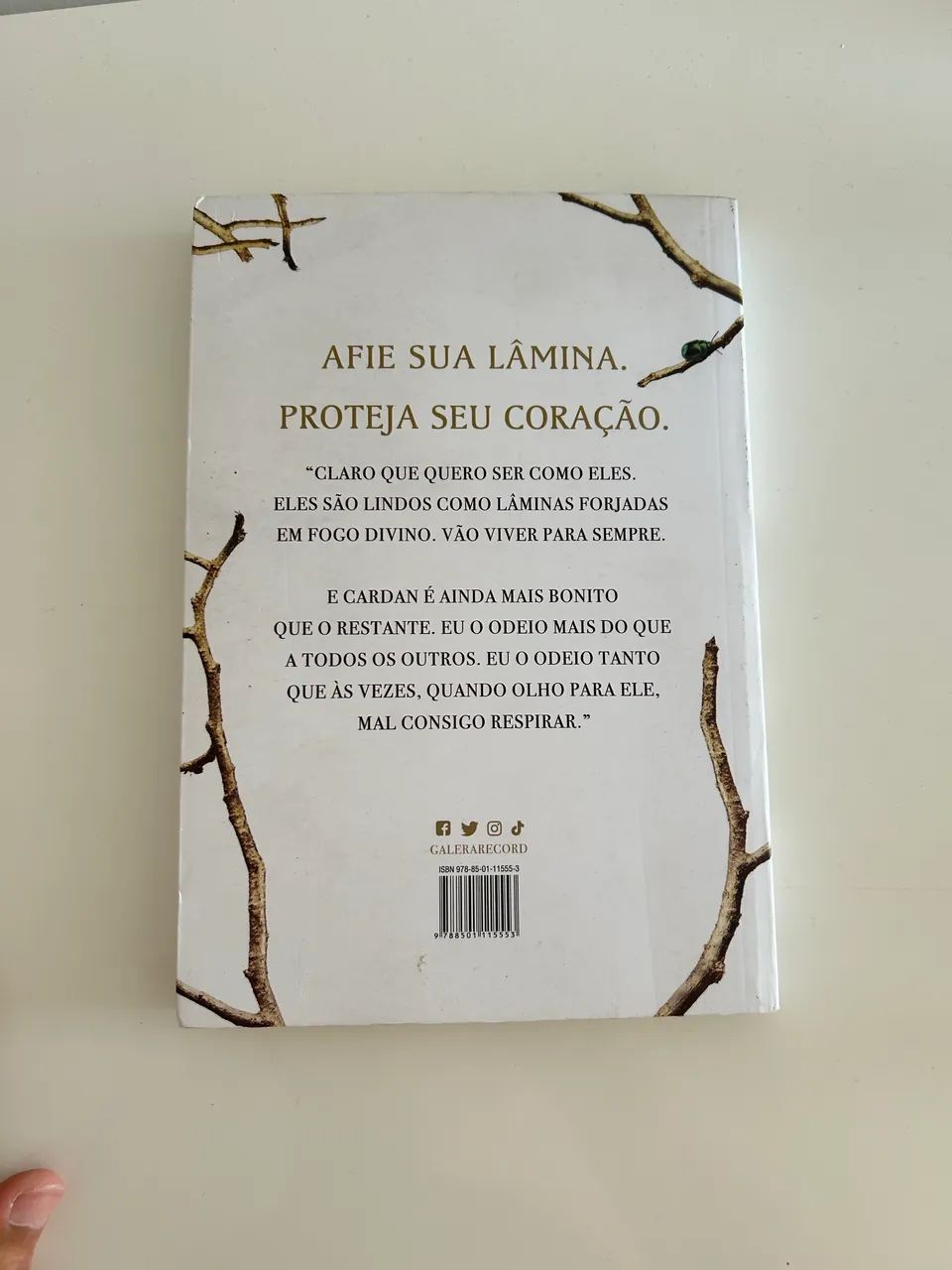 O Príncipe Cruel, de Holly Black - Usado - Livros e revistas - Poço, Maceió  1461192080 | OLX