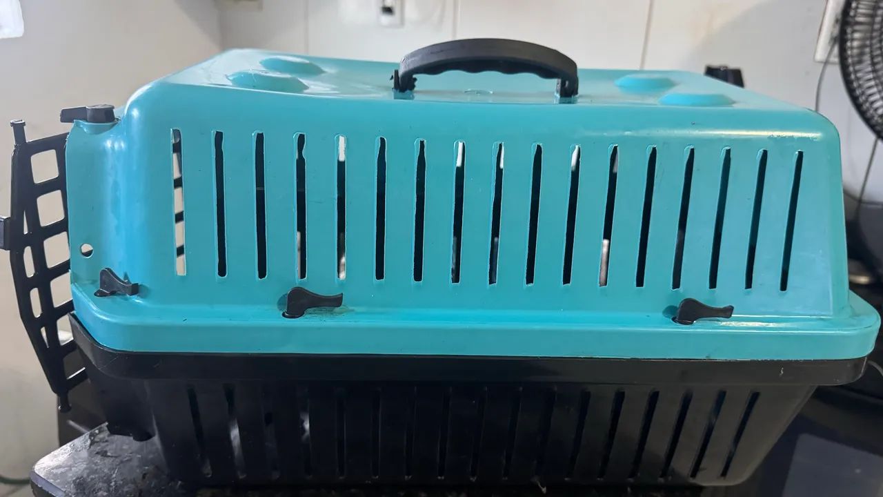 Caixa transporte pet 