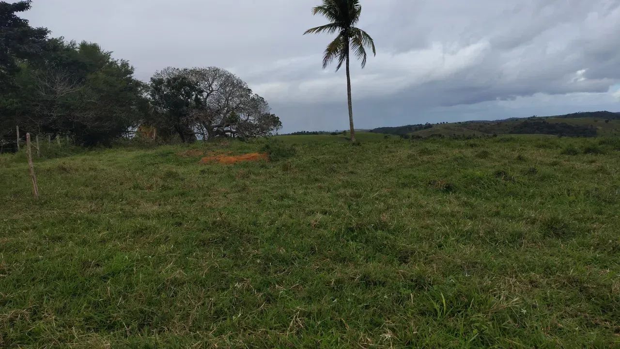 fazenda Santa Luzia Br 101