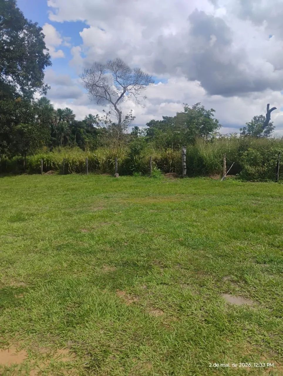 Vendo um sítio  - Foto 5