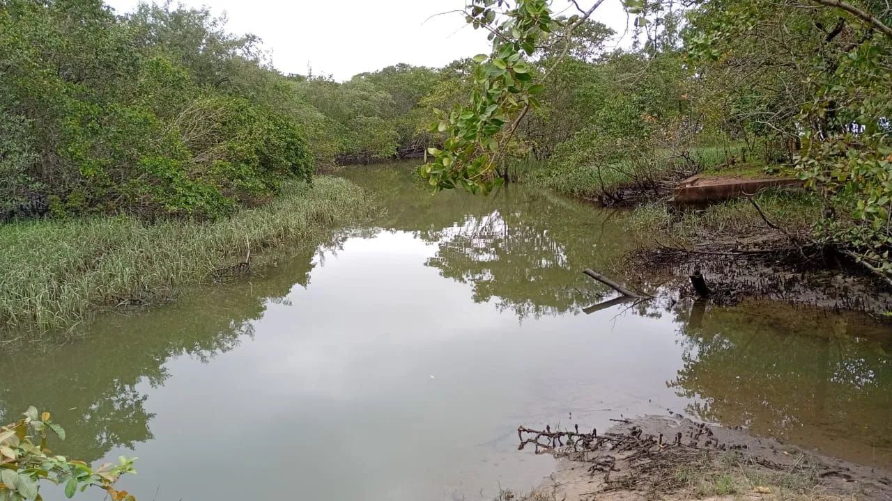 vende-se terreno com casa,tudo documentado,  - Foto 4