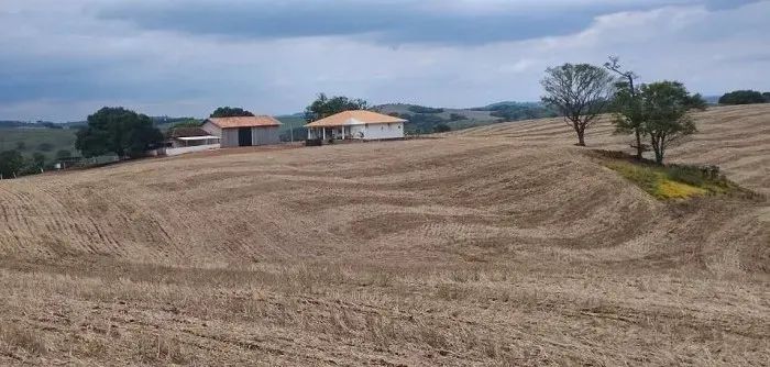 TERRA ROXA - Área Rural 92 Alqueires - Foto 4