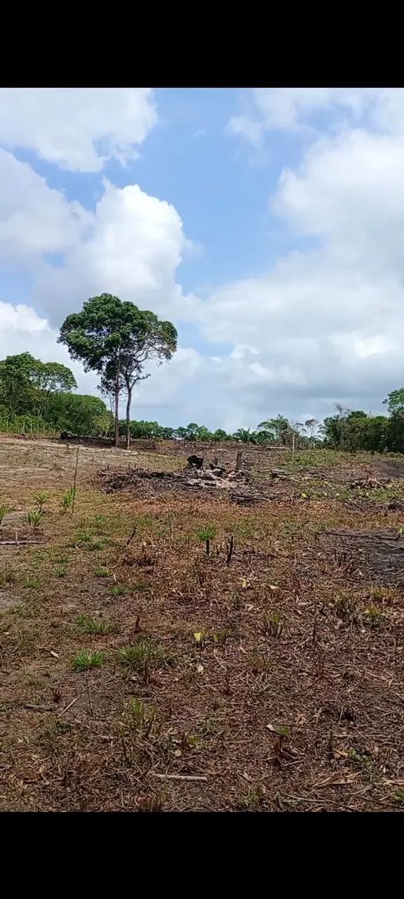 Vendo terreno com igarapé em jambu Açu  - Foto 2