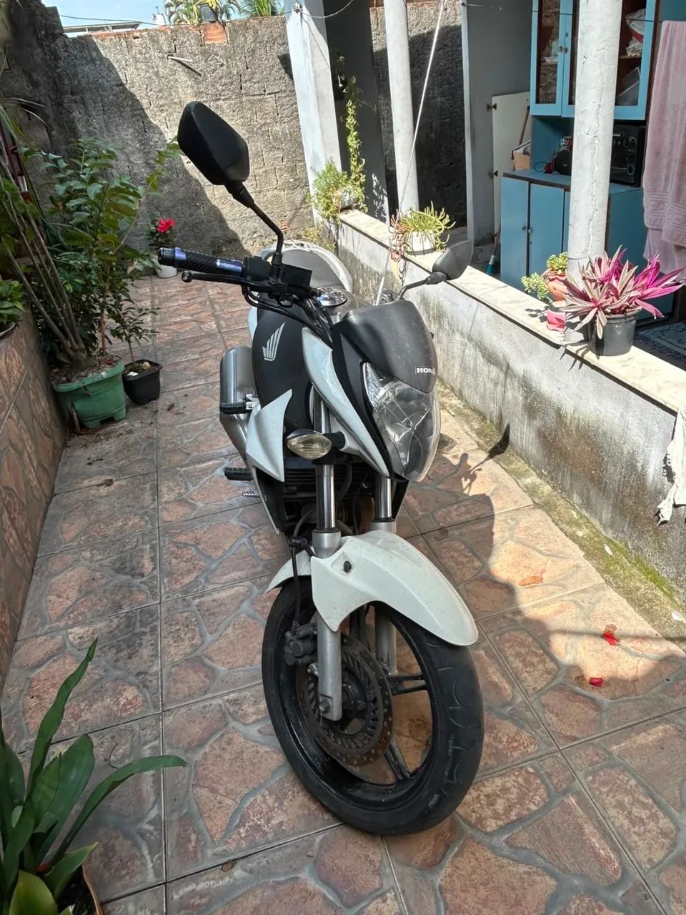 CB 300 - 2012 Filé