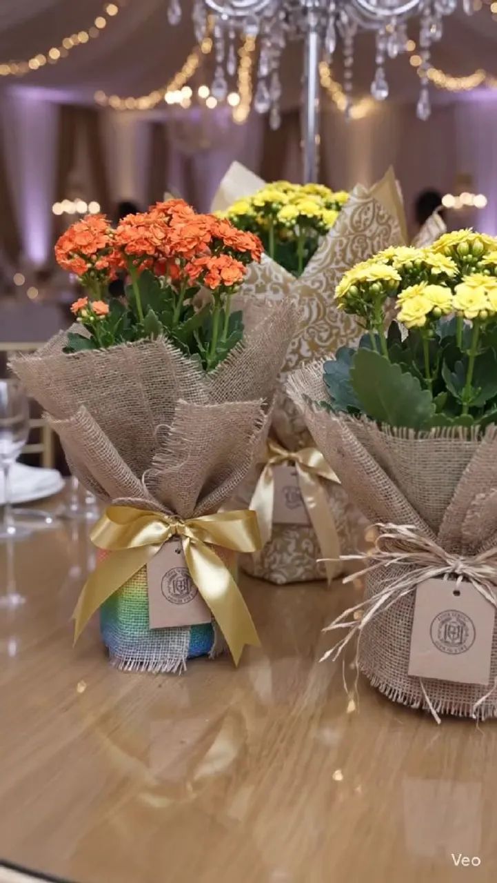 PLANTA DECORAÇÃO E FESTA - Foto 5