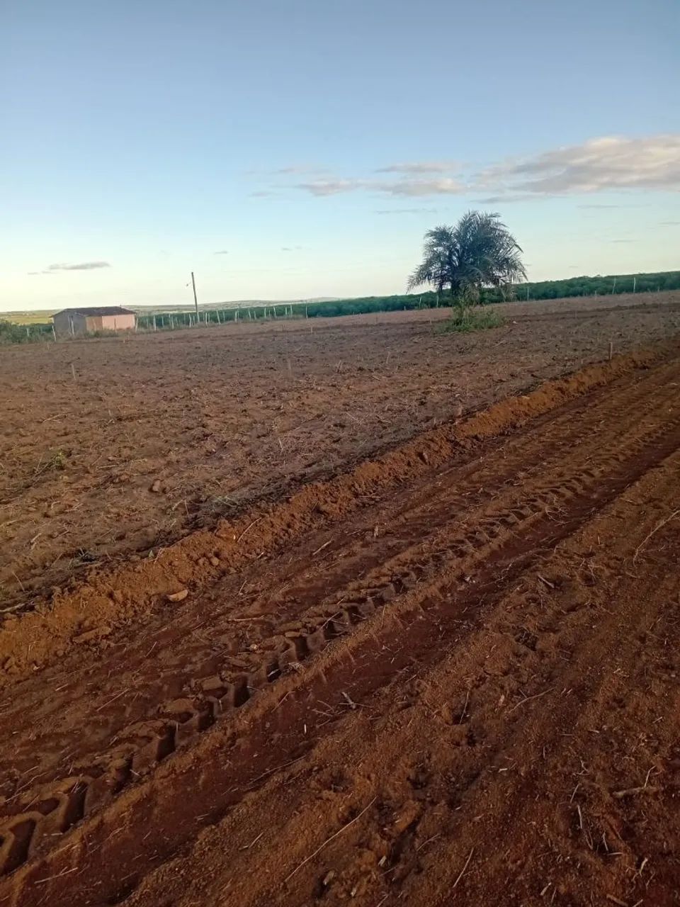 Lotes a venda 