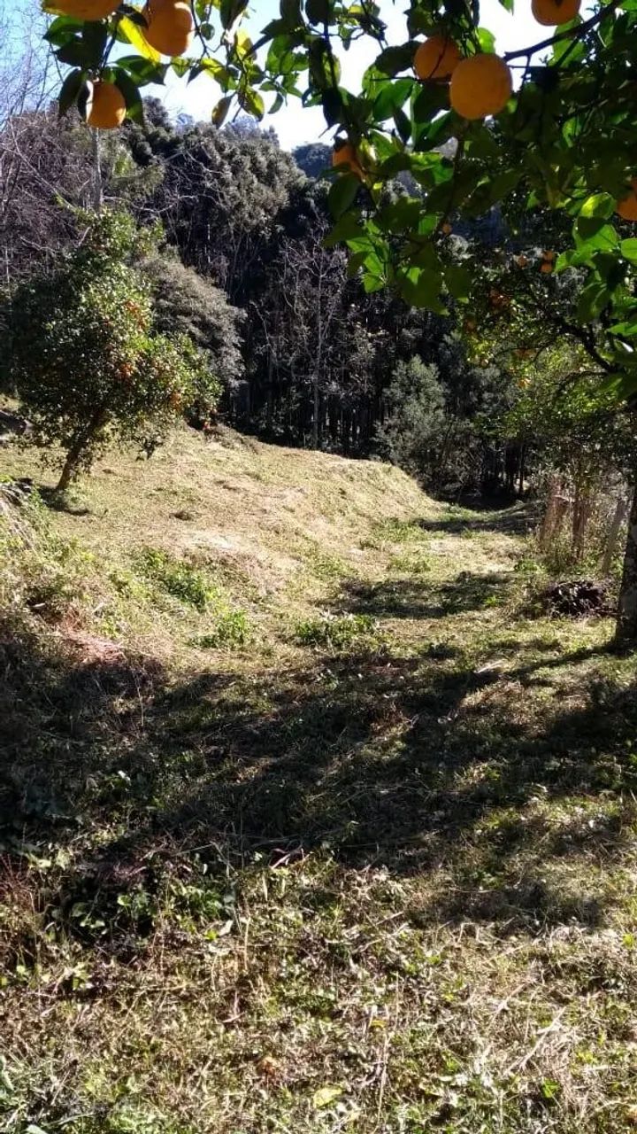 Chácara Galópolis Caxias do Sul - Foto 5
