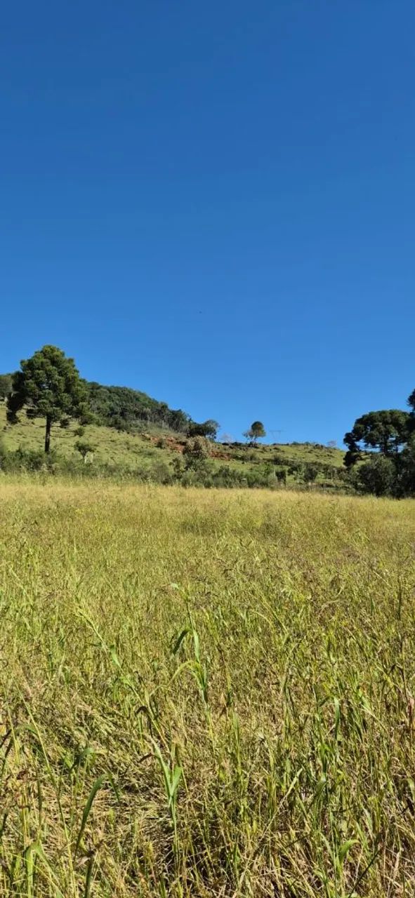 Terreno rural a venda  - Foto 4