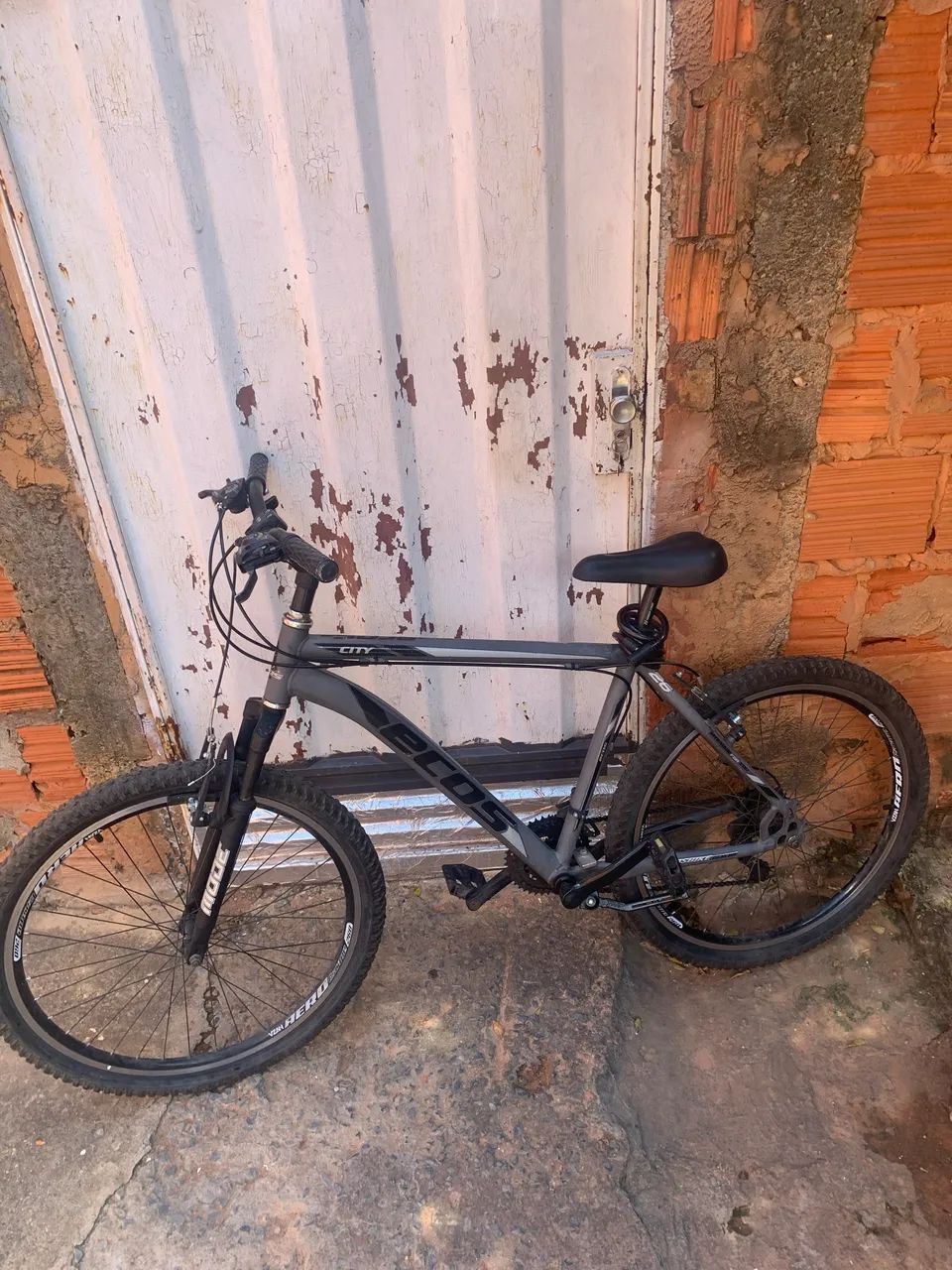 Bicicleta Ecos 