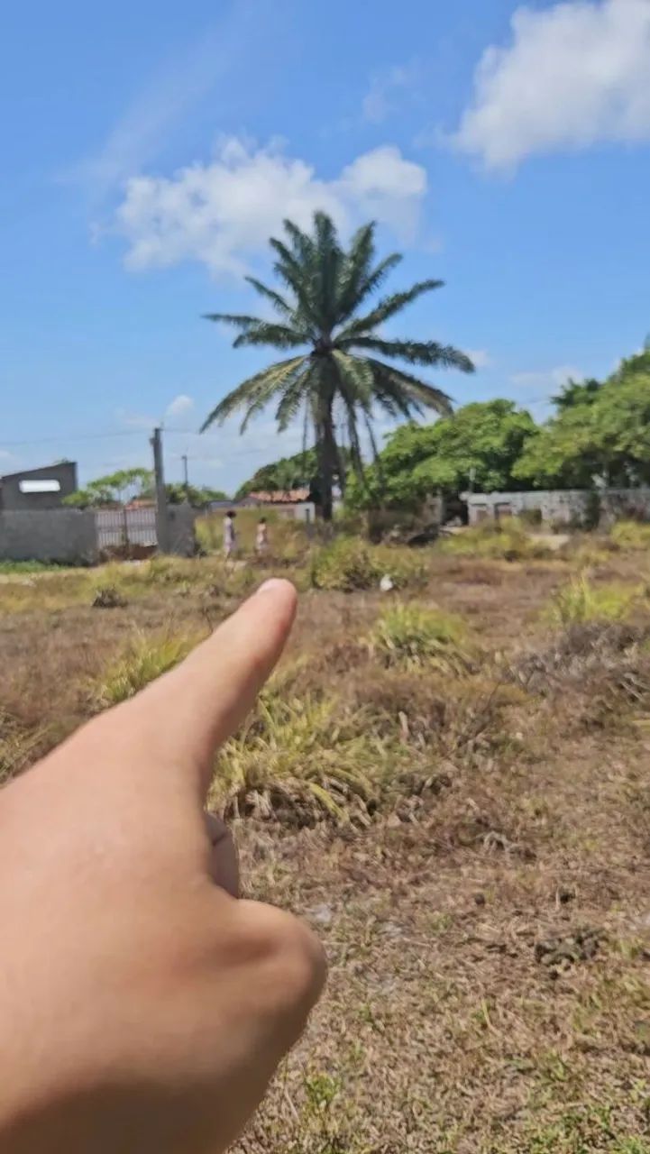 TERRENO CATUAMA - Foto 4
