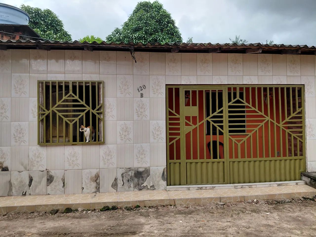 Foto - Belém - Tenoné