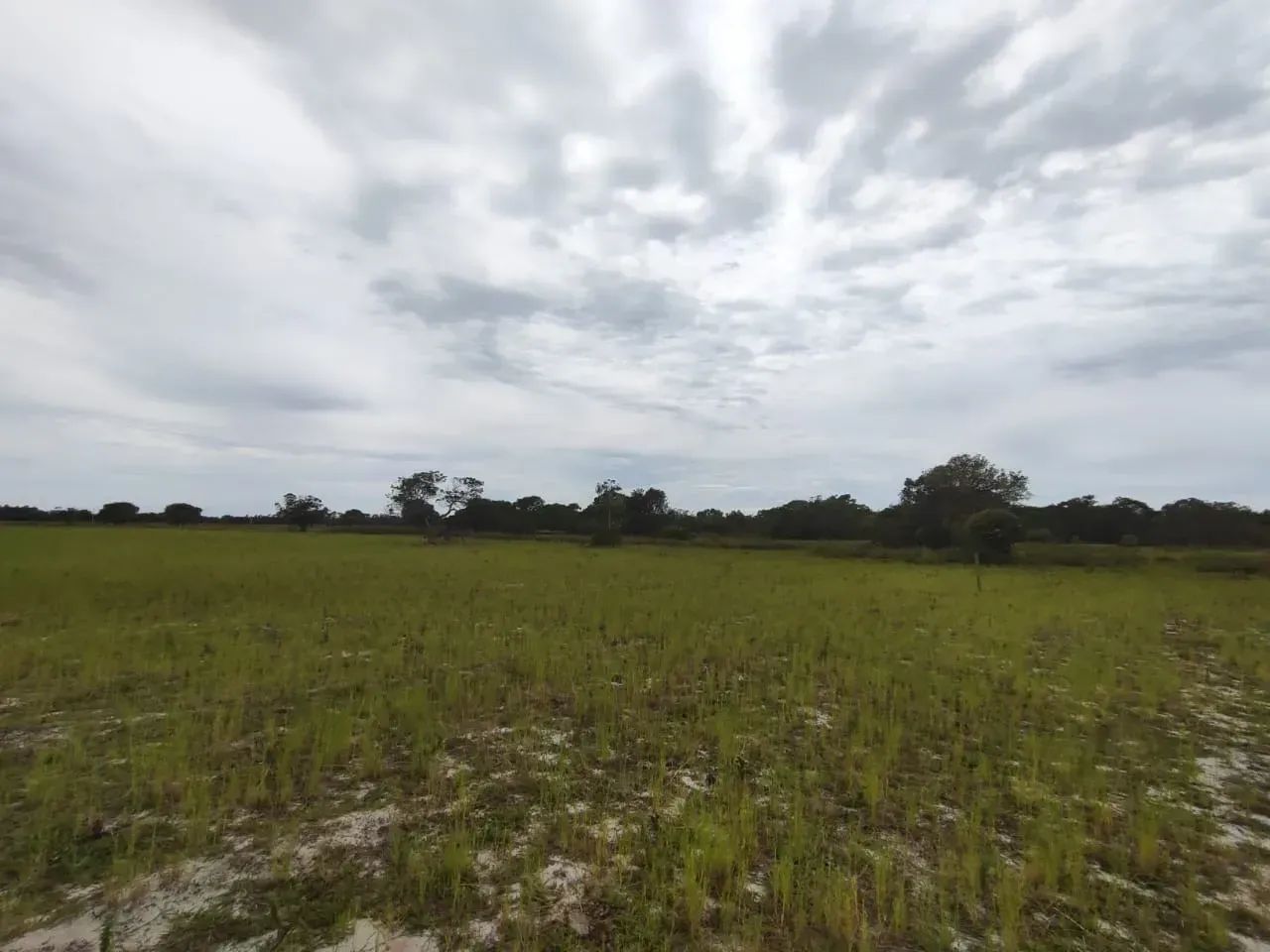 Area na Penha Quissamã com 5 Mil M2 - Foto 3